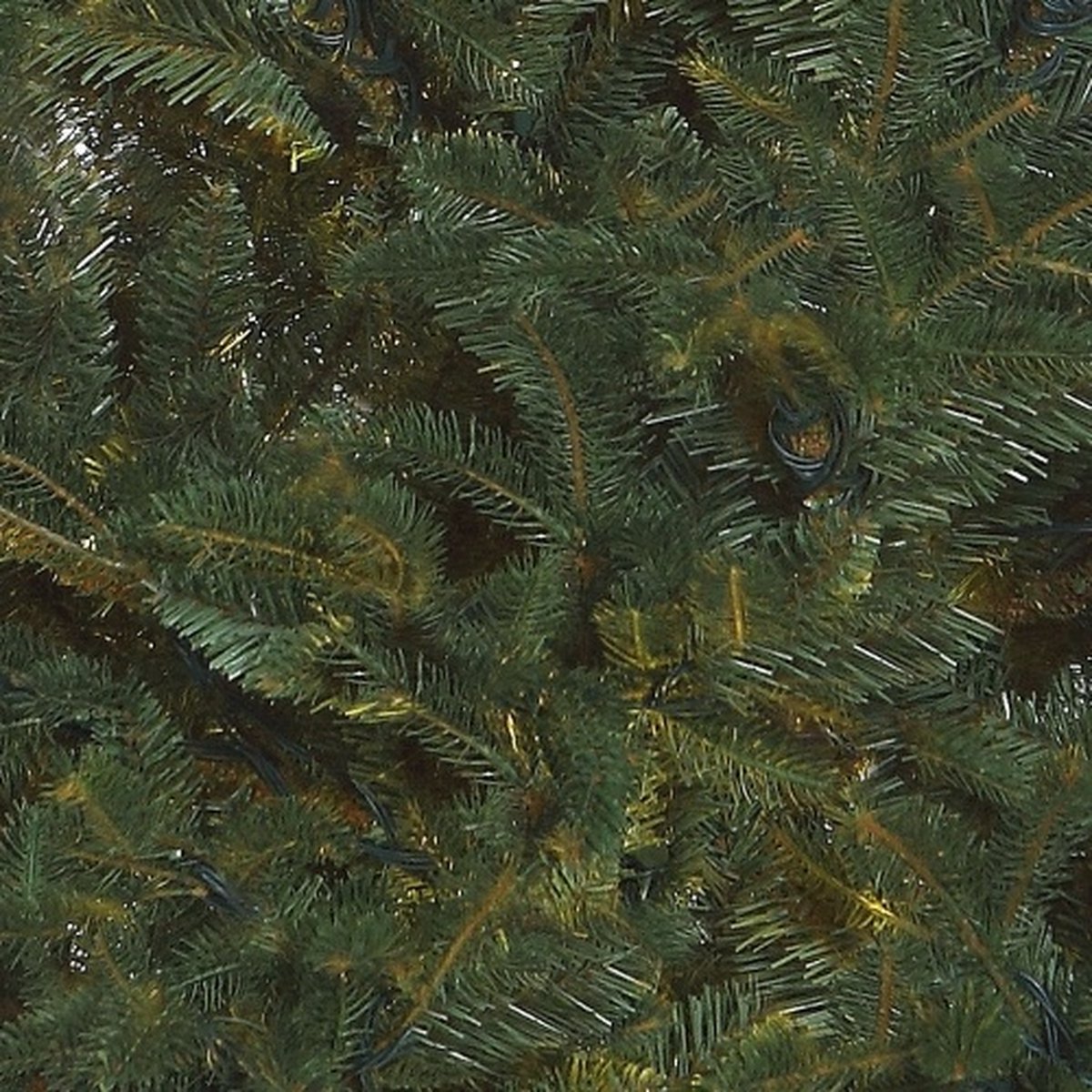 Black Box kunstkerstboom Frasier Fir 185 cm blauw groen