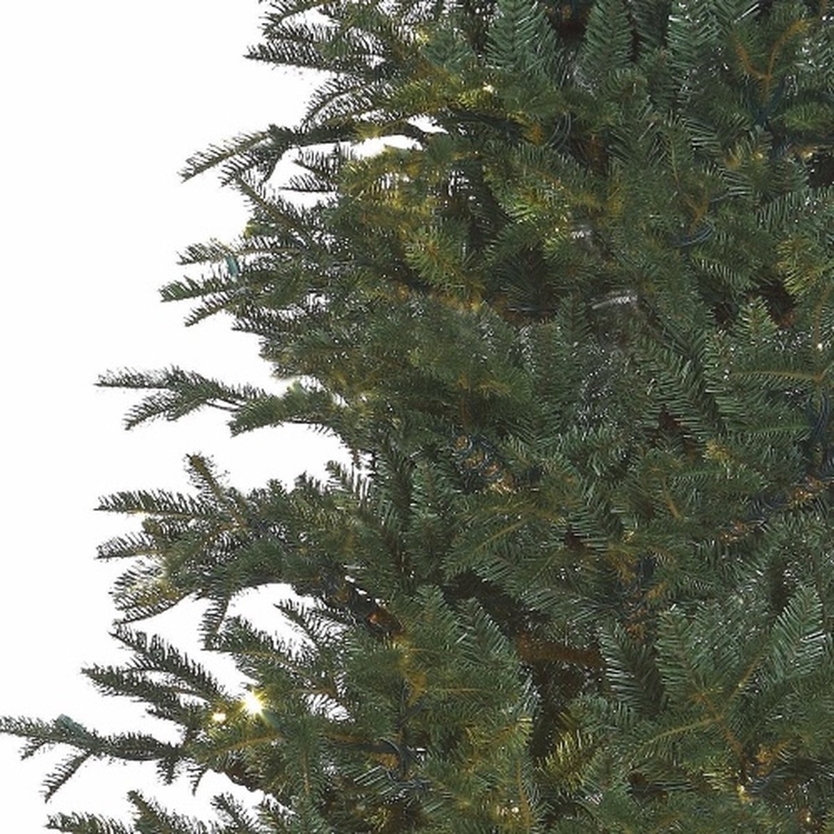 Black Box kunstkerstboom Frasier Fir 185 cm blauw groen