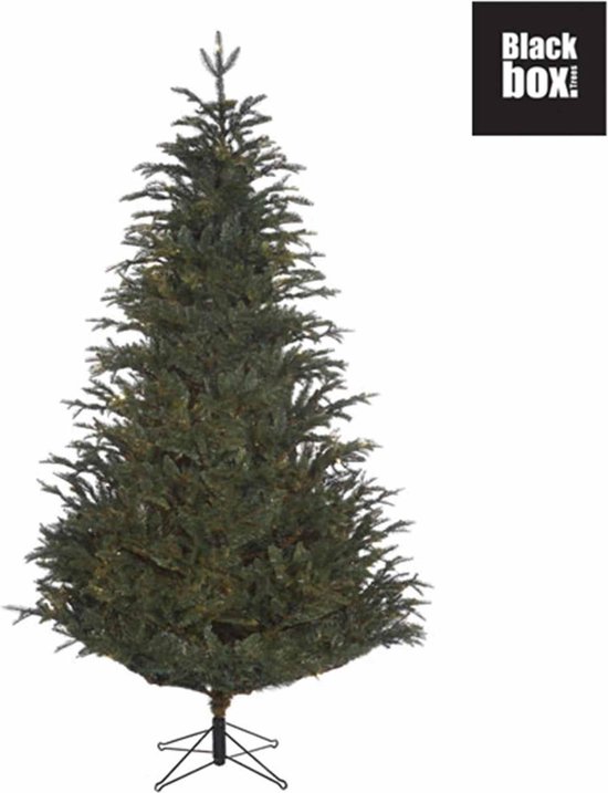 Black Box kunstkerstboom Frasier Fir 185 cm blauw groen