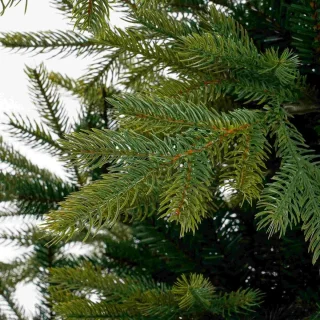 Black Box Kunstkerstboom Grimshaw