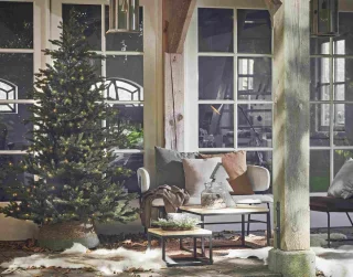 Black Box Macallan Pine Kunstkerstboom