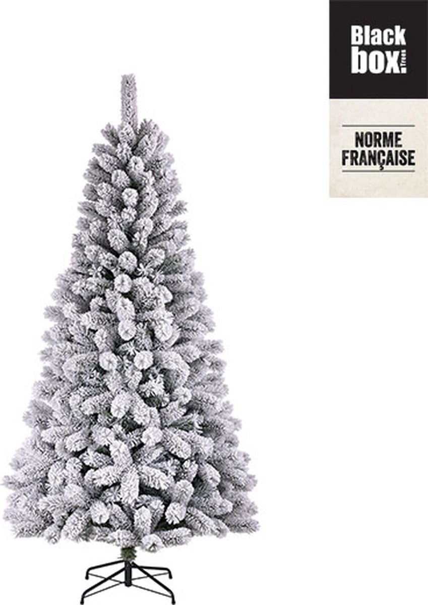 Black Box Medford Kerstboom Groen 215x114 cm
