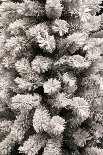 Black Box Medford kunstkerstboom 155 cm besneeuwd groen