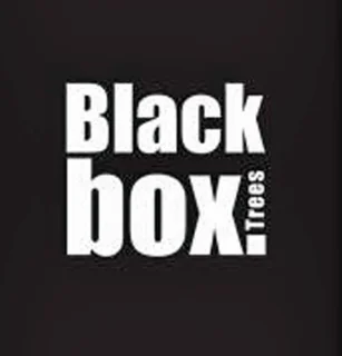 Black Box Medford kunstkerstboom 155 cm groen