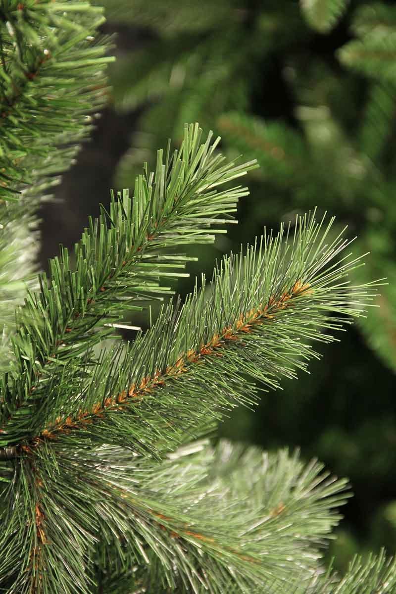 Black Box Medford kunstkerstboom 155 cm groen