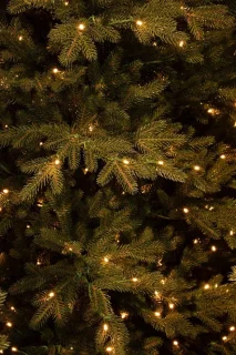 Black box Meran Kunstkerstboom groen