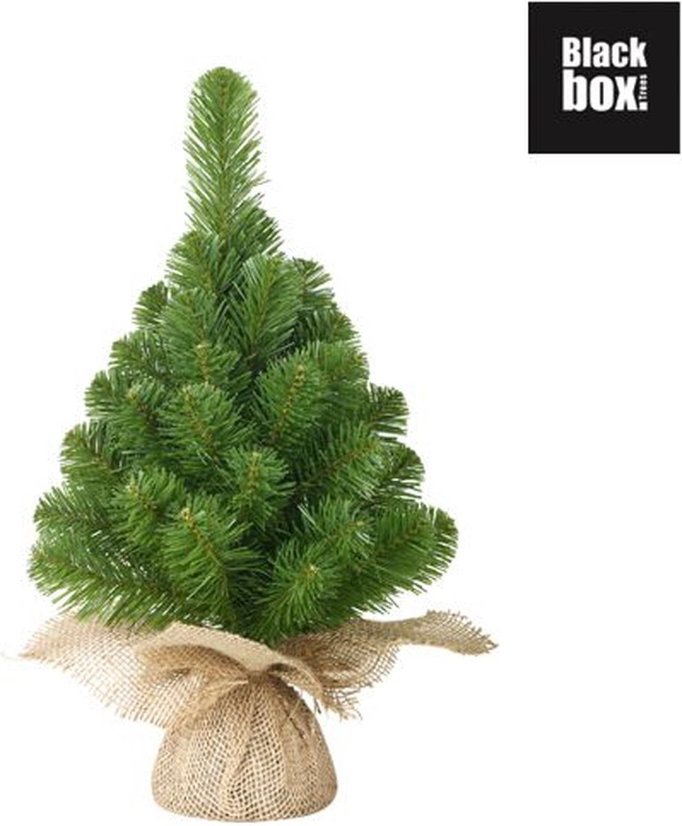 Black Box Norton Kunstkerstboom Groen 60x23 cm
