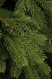 Black Box Trees Brampton Kunstkerstboom 230 cm groen