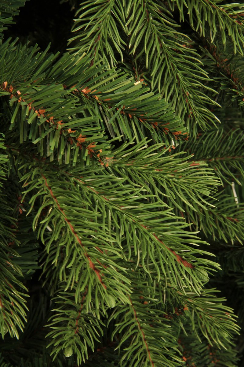 Black Box Trees Brampton Kunstkerstboom 230 cm Groen