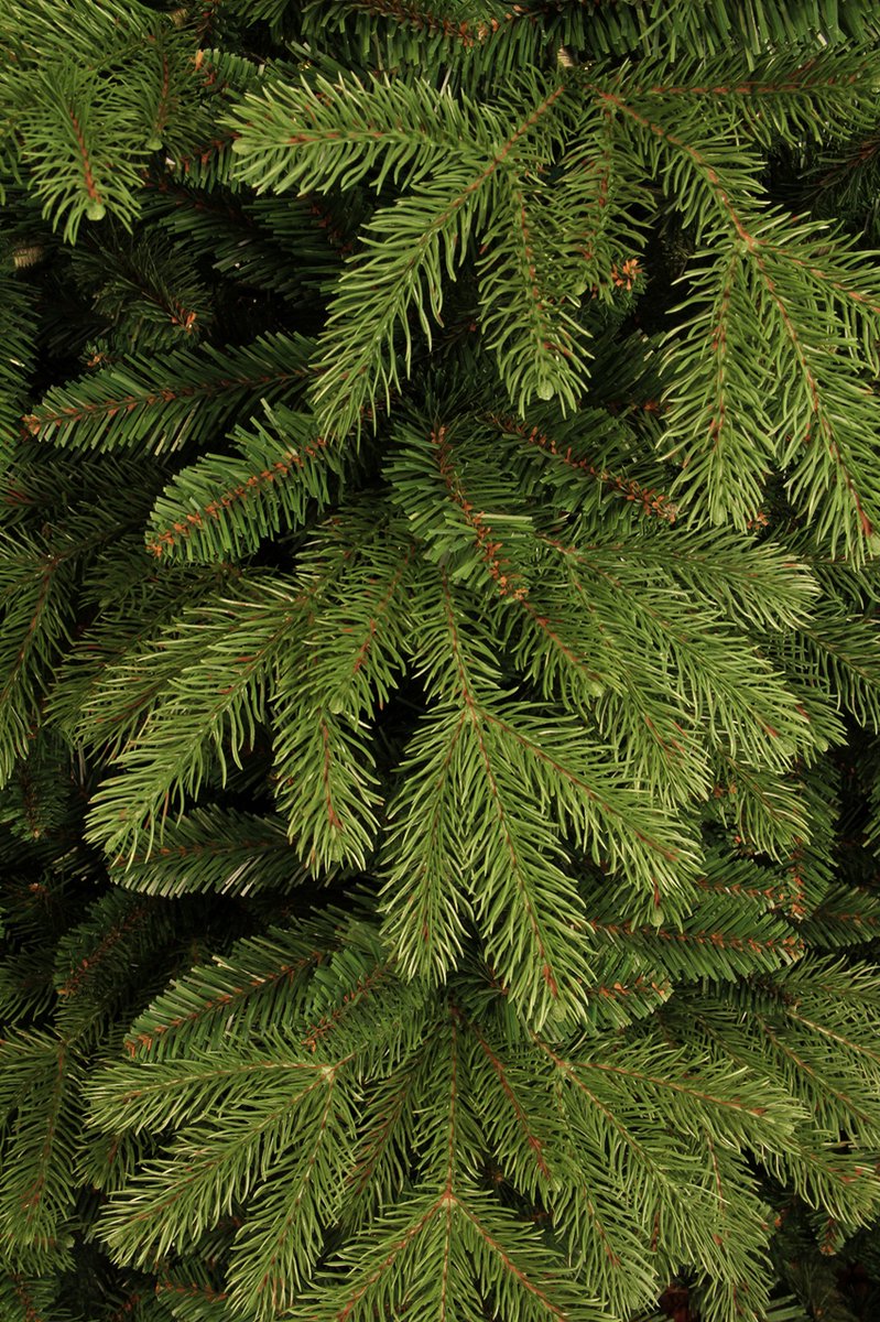 Black Box Trees Brampton Kunstkerstboom 230 cm Groen