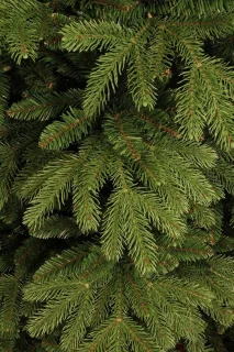 Black Box Trees Brampton Kunstkerstboom Groen H155xØ107 cm