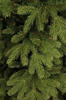 Black Box Trees Brampton Kunstkerstboom H185 x Ø127 cm Groen