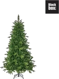 Black Box Trees Brampton Kunstkerstboom Slim H185 cm Groen