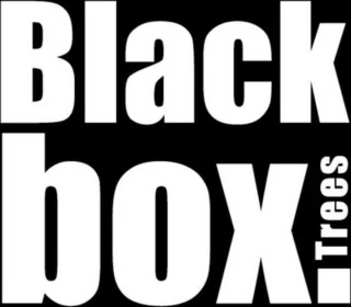 Black Box Trees Brampton Kunstkerstboom Slim H185 cm Groen