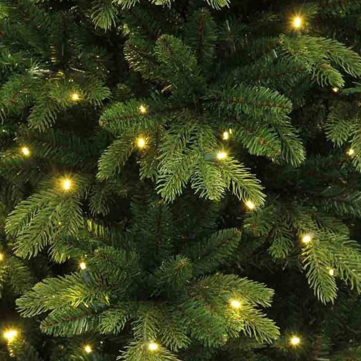 Black Box Trees Brampton Kunstkerstboom Slim H185 Ø114 cm Groen