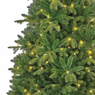 Black Box Trees Brampton Kunstkerstboom Slim LED H215xØ125 cm Groen
