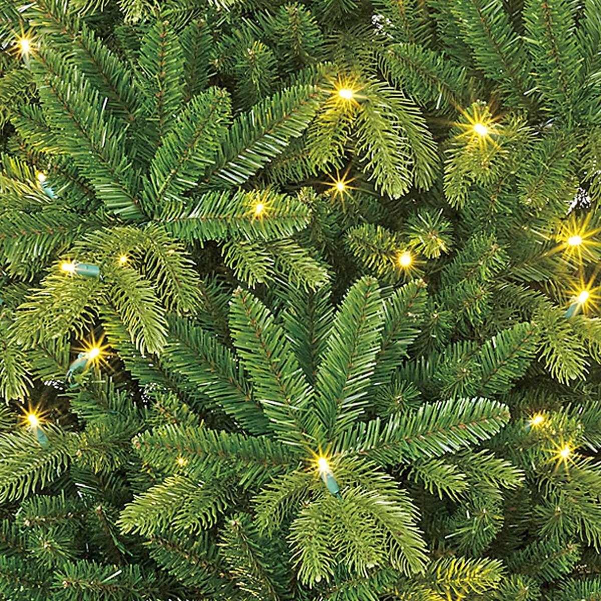 Black Box Trees Brampton Kunstkerstboom Slim LED H215xØ125 cm Groen