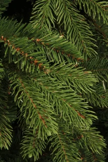 Black Box Trees Brampton Kunstkerstboom Smal H215xØ125 cm Groen