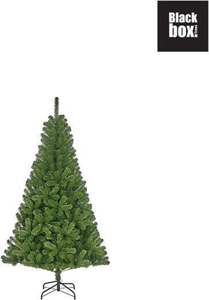 Black Box Trees Charlton Kunstkerstboom 120 cm Groen