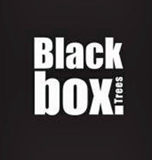 Black Box Trees Charlton Kunstkerstboom 155 cm Groen