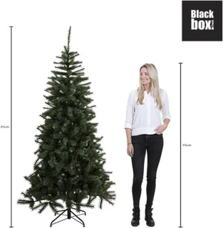 Black Box Trees Charlton Kunstkerstboom Groen H215xØ127 cm