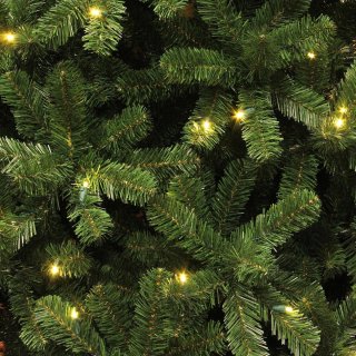 Black Box Trees Charlton Kunstkerstboom LED H215cm Groen