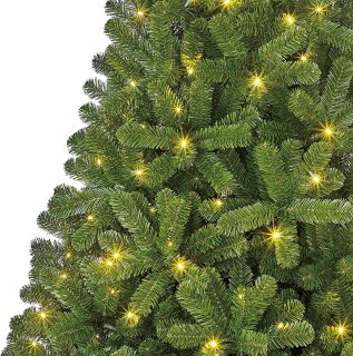 Black Box Trees Charlton Kunstkerstboom LED H215cm Groen