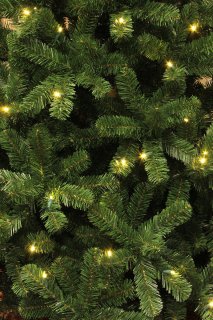 Black Box Trees Charlton Kunstkerstboom LED H215cm Groen