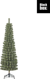 Black Box Trees Charlton Pilar kerstboom 185 cm
