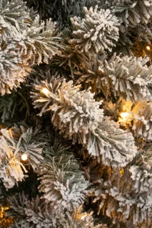 Black Box Trees Charlton Pilar kerstboom 215 x 56 cm