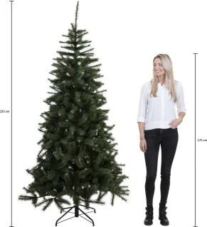 Black Box Trees Charlton Pilar kerstboom 230 cm
