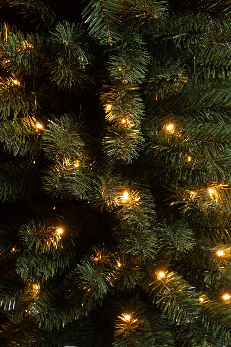 Black Box Trees Charlton Pilar kerstboom led 160L groen warm wit h215xd56cm