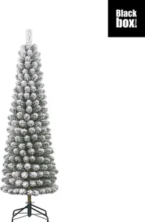 Black Box Trees Charlton Pilar kerstboom