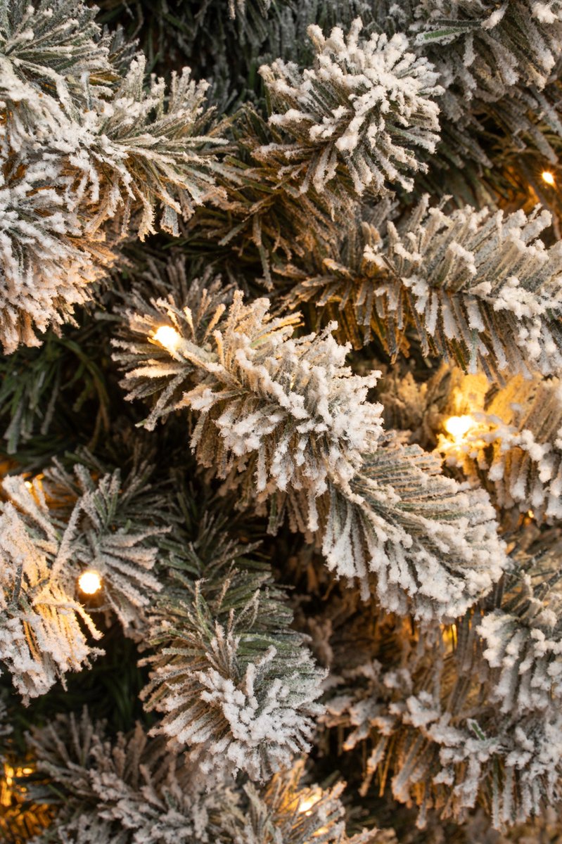 Black Box Trees Charlton Smalle Kunstkerstboom H230 Groen Frosted