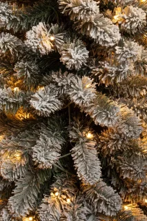 Black Box Trees Charlton Smalle Kunstkerstboom LED 260 cm Groen Frosted