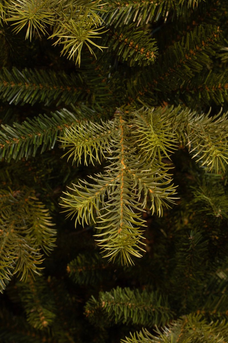 Black Box Trees Clive Kunstkerstboom H185 Ø130 cm Groen