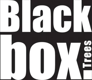Black Box Trees Creston Kerstboomset 2 bomen + 1 krans Groen