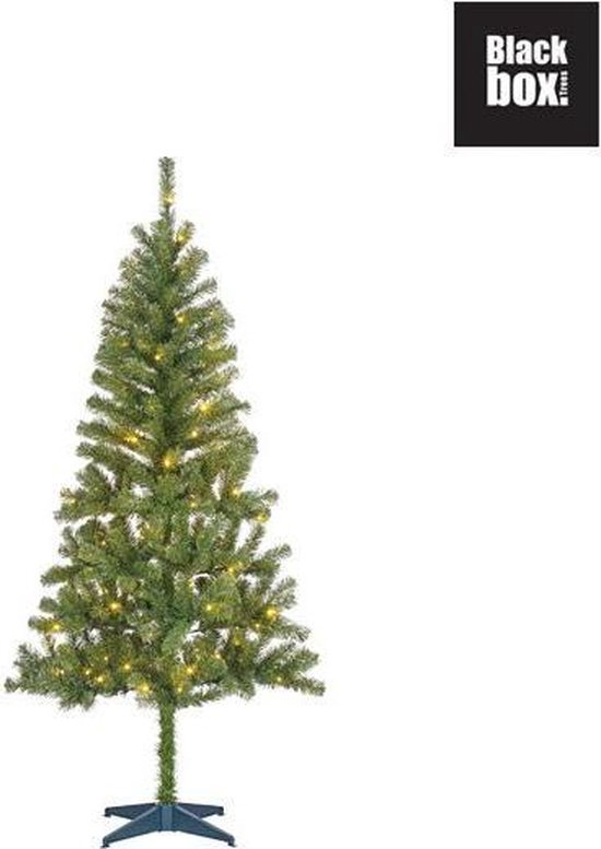 Black Box Trees Dale kerstboom groen LED 185 cm