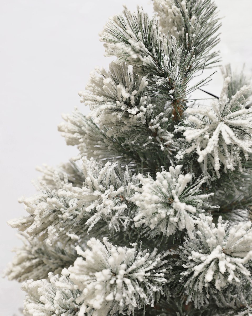 Black Box Trees Dinsmore Kunstkerstboom H60 Ø50 cm Frosted Green