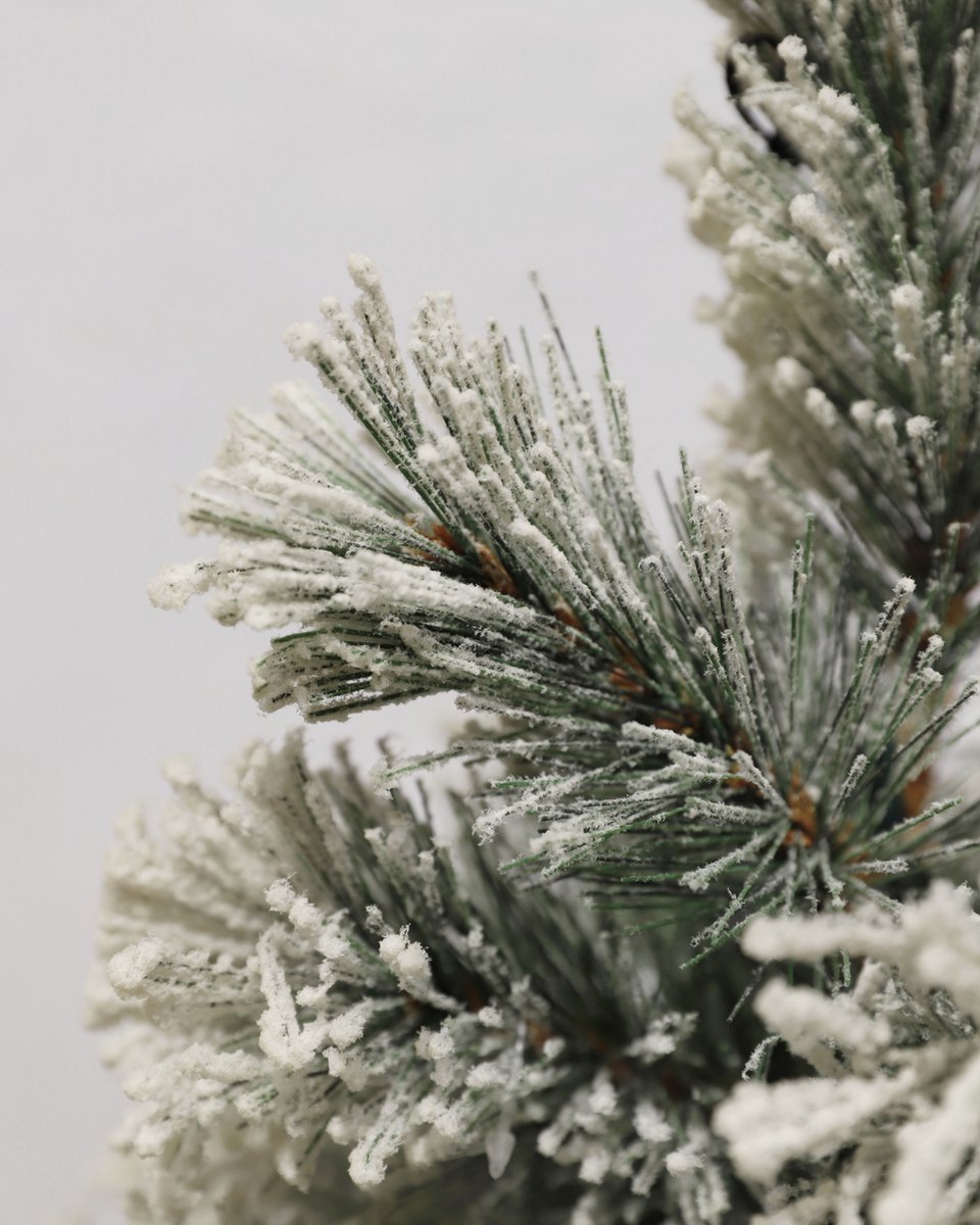 Black Box Trees Dinsmore Kunstkerstboom H60 Ø50 cm Frosted Green