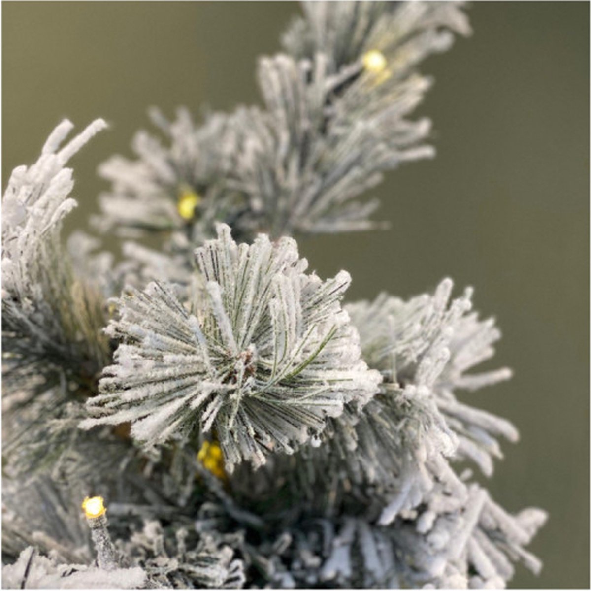 Black Box Trees Dinsmore Kunstkerstboom H60 x Ø50 cm Frosted Green