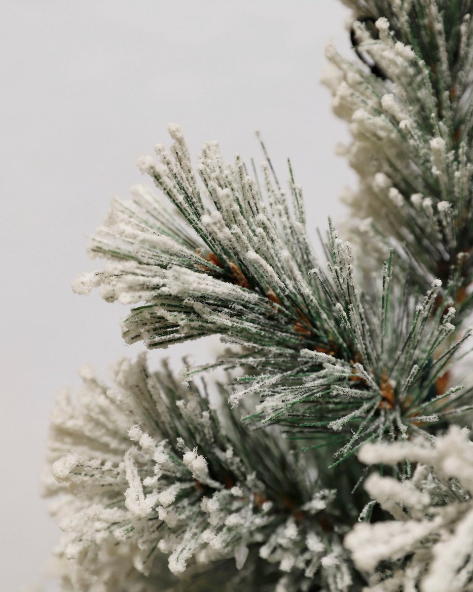 Black Box Trees Dinsmore Kunstkerstboom H90 Pot Frosted Green