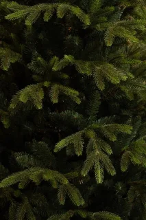 Black Box Trees Felton Kunstkerstboom