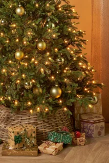 Black Box Trees Felton Kunstkerstboom