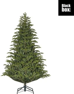 Black Box Trees Felton Kunstkerstboom
