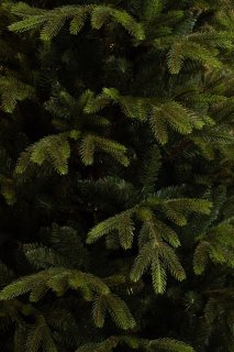 Wat vinden we goed aan de Black Box Trees Felton Kunstkerstboom