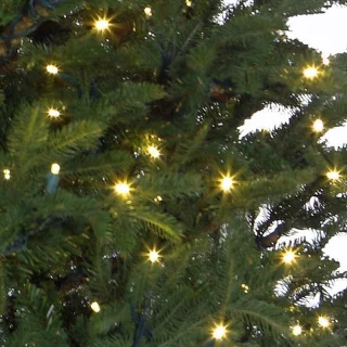 Black Box Trees Frasier Kunstkerstboom 155 cm Groen