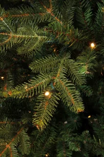 Black Box Trees Frasier Kunstkerstboom 155 cm Groen