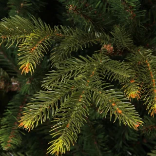 Black Box Trees Frasier Kunstkerstboom 155 cm Groen