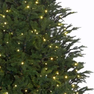 Black Box Trees Frasier Kunstkerstboom 155 cm Groen